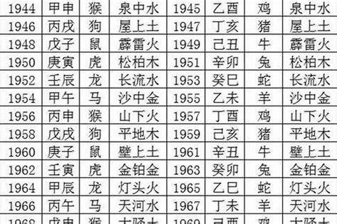 2028是什么年|2028年是什么年？